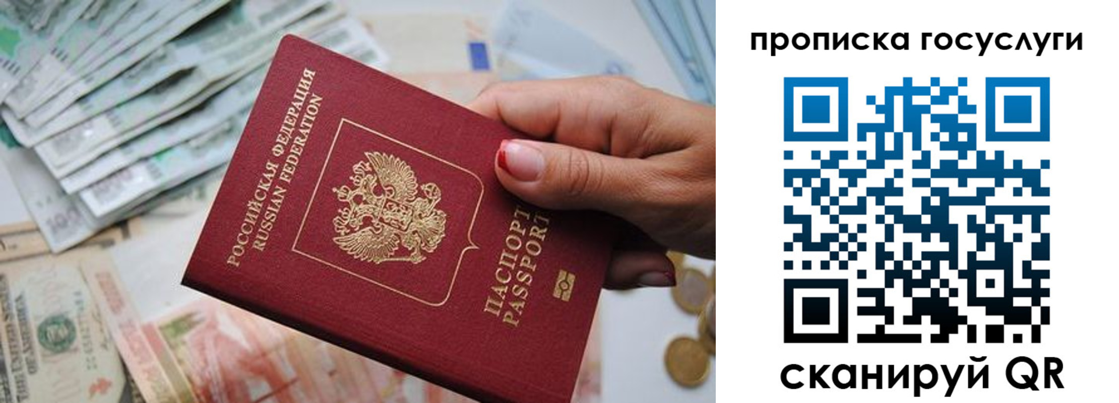 прописка поиск в Невеле